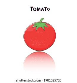 tomato isolated on white background. Vector illustration.