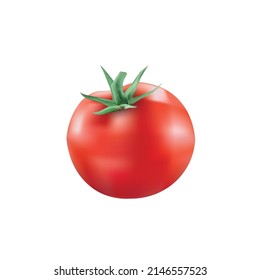 Tomato isolated on white background. Red tomato in a realistic style. Vector illustration.