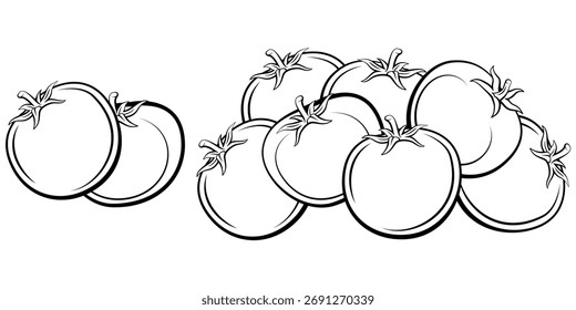 Tomate aislado sobre fondo blanco. Ilustración de dibujo de línea de tomate. Ilustración de comida. Contorno de tomate blanco y negro. Silueta de verduras aislada
