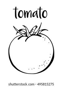 Tomato isolated on white background, vector illustration