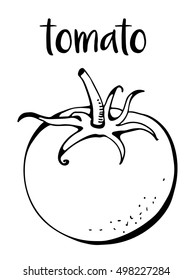 Tomato isolated on white background, vector illustration