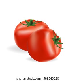 Tomato isolated on white background, vector  illustration.
