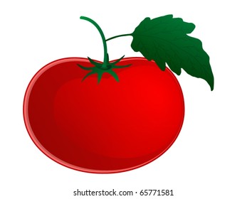 Tomato isolated on white background.