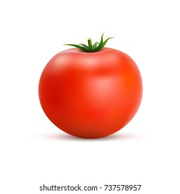 Tomato isolated on white background. Red tomato in a realistic style. Vector illustration.