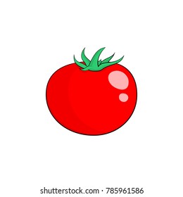 Tomato isolated on white background. Vector