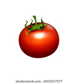 Tomate aislado en blanco. Ilustración vectorial fotorrealista