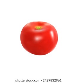 Tomato isolated on white. Realistic vector illustration