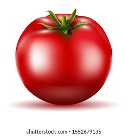 Tomato isolated. Realistic vector illustration .