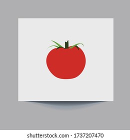 Tomato isolated single simple cartoon illustration. eps 10