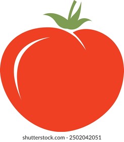 Tomato isolated single simple illustration. Ripe tomato, vegetarian organic food, fresh whole tomato vegetables. Red tomato.