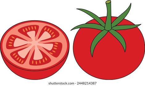 Tomato Isolated Vector Illustration Hand Drawn