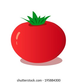 Tomato isolated vector illustration on white background.  