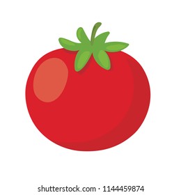 Tomato. Isolated vegetables. Vector illustration