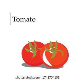 
A tomato. Isolated vegetables. Vector illustration