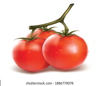 Tomato isolited on white background