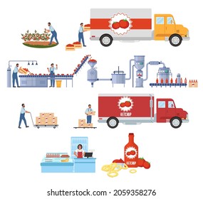 Tomato Ketchup Production Infographic Flat Vector Stock Vector (Royalty ...