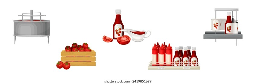 Conjunto de vectores de procesos de producción y fabricación de Ketchup de tomate