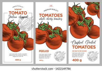 Tomato ketchup, sauce, juice badge label design set. Vector hand drawn illustration of ripe tomatoes in engraving technique. Stylish vintage templates for tomato sauce packaging. 