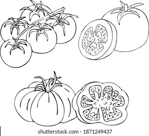 Tomato. Large round tomato. Set of vegetables. Simple freehand drawing. Graphic drawing. Juicy vegetable. 