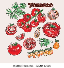 Tomate y deja ilustración de crayon vector. Arte de línea y color de tiza en un estilo de libro de color expresivo