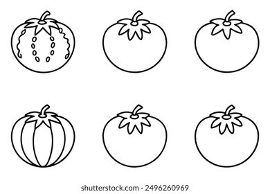 Tomato Line Art Illustration Abstract Vegetable Outline