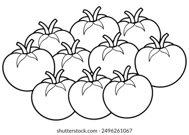 Tomato Line Art Illustration Clean Modern Outline Design