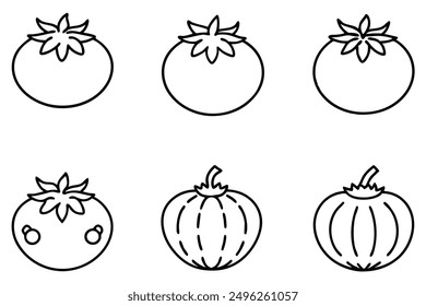 Tomato Line Art Illustration Detailed Plant Graphic