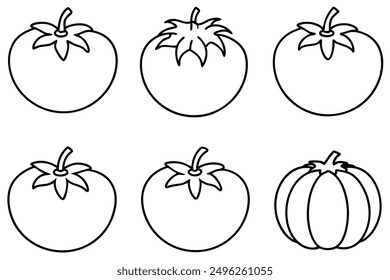 Tomato Line Art Illustration Stylish Botanical Sketching