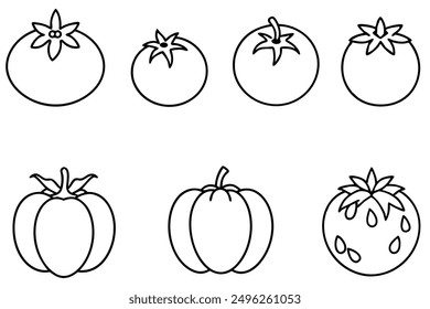 Tomato Line Art Illustration Subtle Veggie Sketch