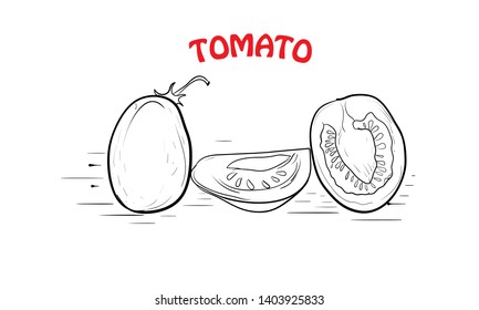 TOMATO LINE ART VECTOR ILLUSTRATION