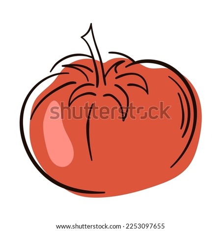 Tomato line drawing. Flat illustration of Tomato vector icon isolated on white background.