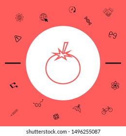 Tomato line Icon - graphic elements for your design