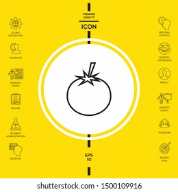 Tomato line Icon - graphic elements for your design