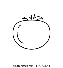 tomato line icon. vector tomato sign