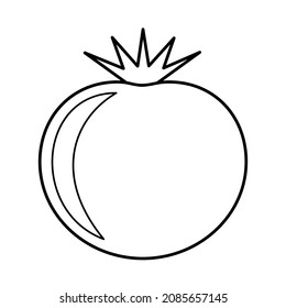 Tomato in line style. Vector illustration 