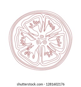 Tomato line vector illustration