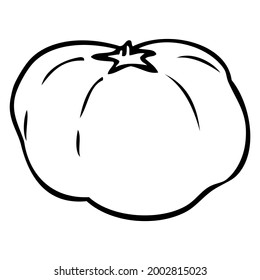 ilustración vectorial de línea de tomate,
aislado en fondo blanco.vista superior