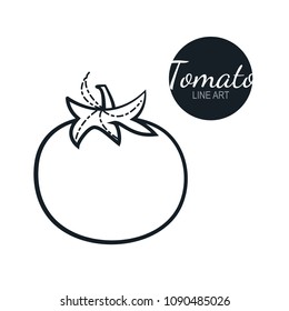 tomato linear graphic design. Black and white image of vegetables. Vector illustration line art