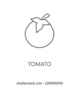 Tomato linear icon. Tomato concept stroke symbol design. Thin graphic elements vector illustration, outline pattern on a white background, eps 10.