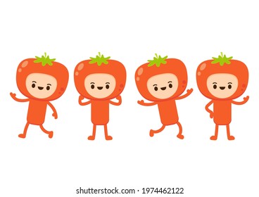 Tomato mascot. Tomato character design.