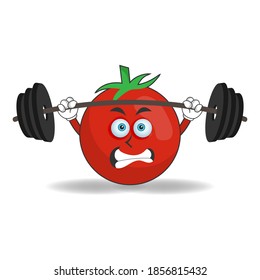 Tomato mascot character with fitness equipment. vector illustration