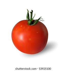 Tomato. Mesh is used