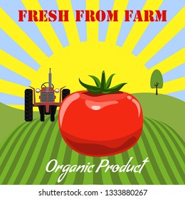 Tomato mockup in farm landscape background. Label design for tomato products. Flat color style vector illustration.