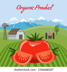 Tomato mockup in farm landscape background. Label design for tomato products. Flat color style vector illustration.