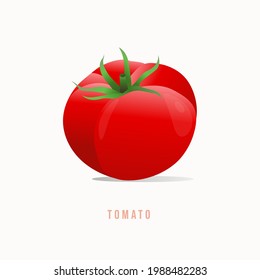 Ilustración vectorial de estilo Tomate Modern.