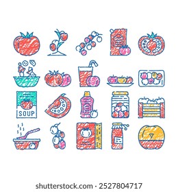 tomato natural bio ingredient doodle icons set vector. sketch line art tomato vitamin vegetable for prepare salad and fresh juice, receipt book for cooking delicious dish drink contour illustrations