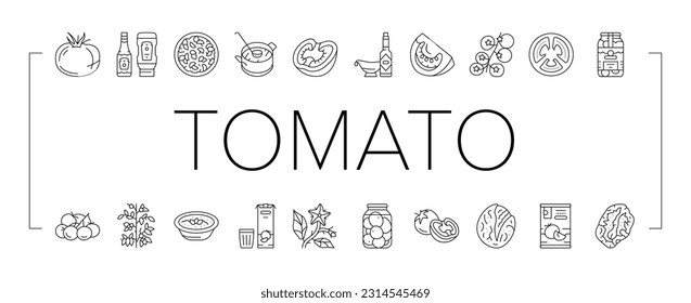 Vector De Vegetales De Vitamina Natural De Tomate. Sopa De Tomate Y Comida De Ensalada, Cocina Deliciosa De Platos De Ingredientes De Bio, Ketchup Y Salsa, Bebida De Zumo Y Pegado Ilustraciones De Contorno Negro