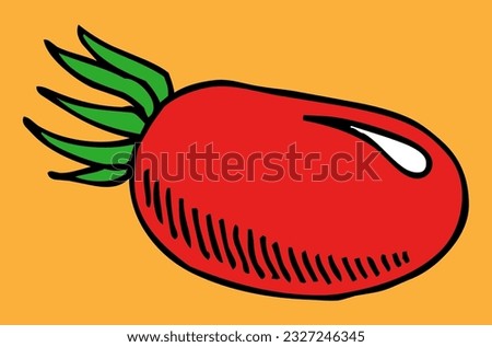 tomato oblong shape vector illustration
