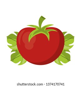 Tomato on leaves fresh vegetable
