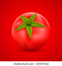 Tomato on red background. Vector illustration
